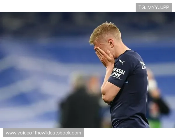 库迪奇尼力荐多纳鲁马阿利松迈尼昂三大现役顶级门将全面剖析