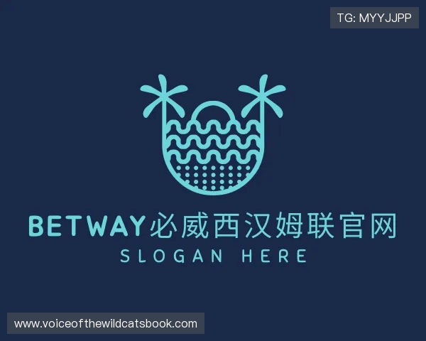 解读必威官方首页官网